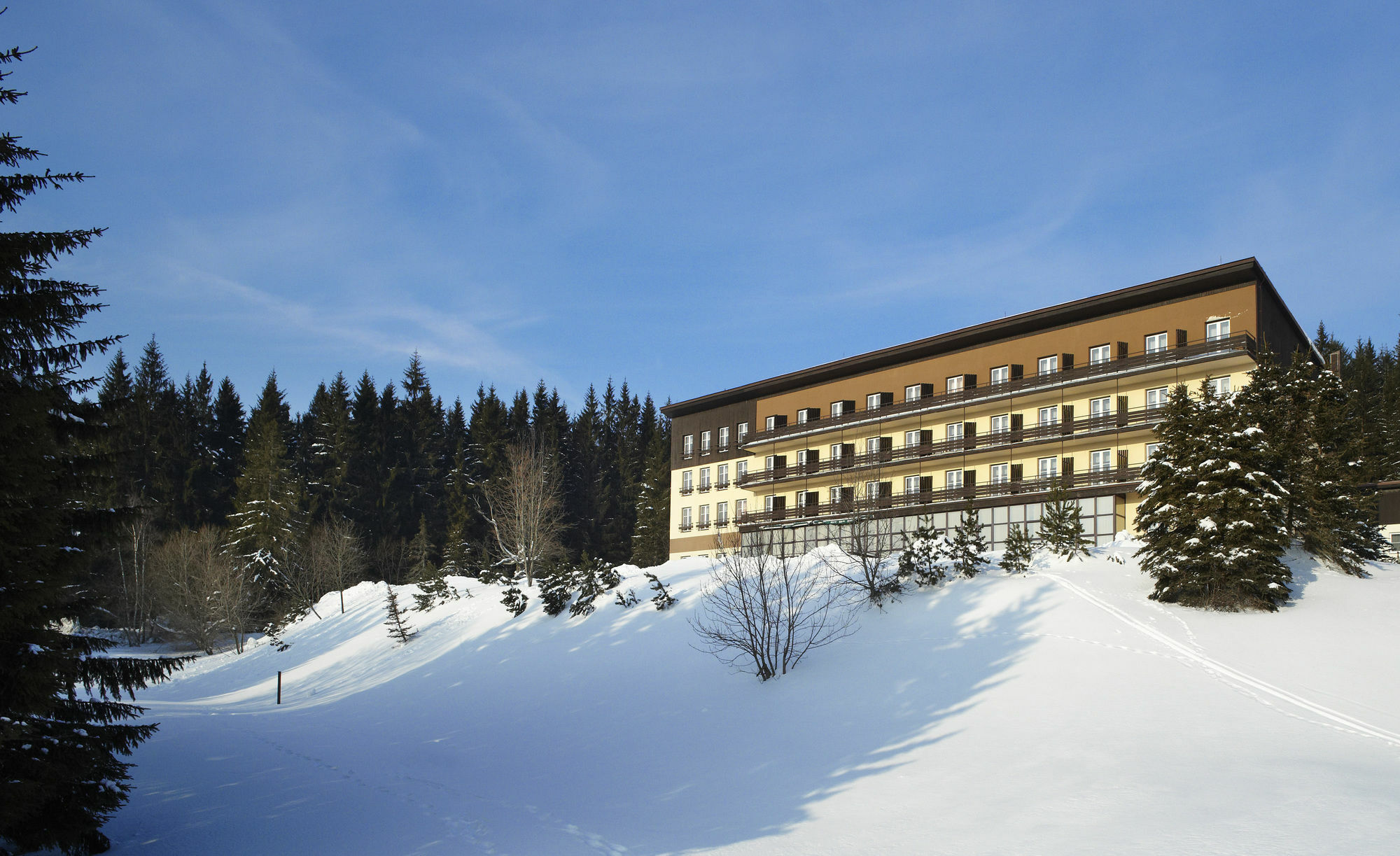 Orea Hotel Spicak Sumava Železná Ruda Exterior foto